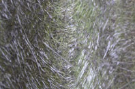 Wasbister fibreglass roof work